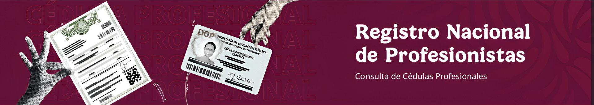 Registro Nacional de Profesionistas